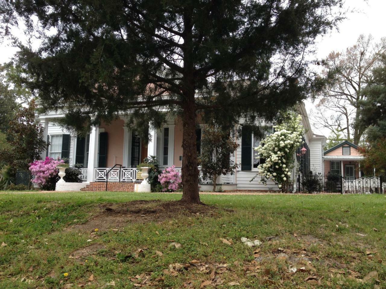Stone House Musical B&B Natchez Kültér fotó